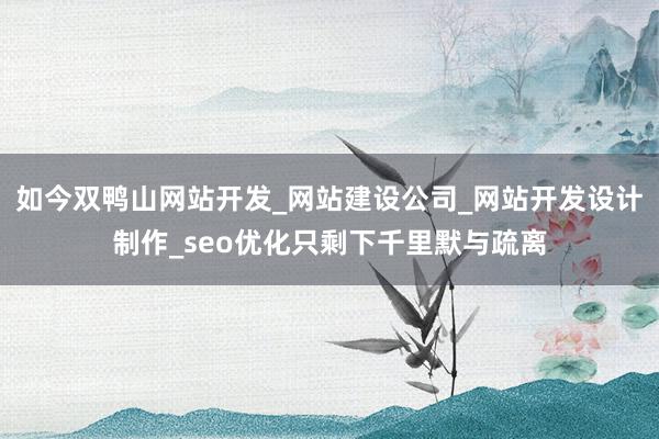 如今双鸭山网站开发_网站建设公司_网站开发设计制作_seo优化只剩下千里默与疏离