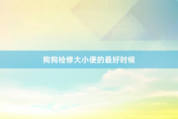 狗狗检修大小便的最好时候