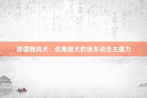 德国魏玛犬：优雅猎犬的迷东说念主魔力