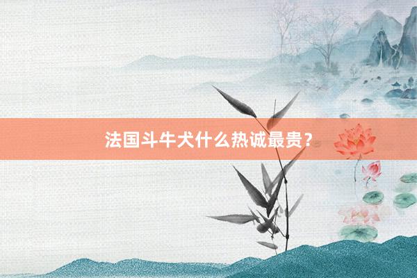 法国斗牛犬什么热诚最贵？