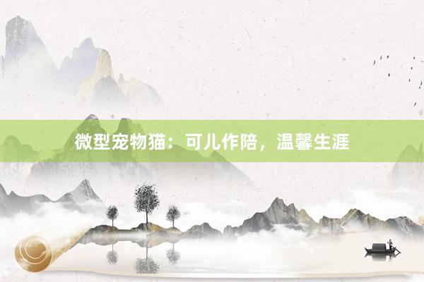 微型宠物猫：可儿作陪，温馨生涯